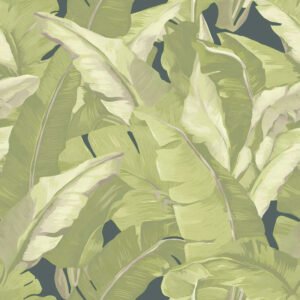 Papel Pintado Rio 2006 Encanto