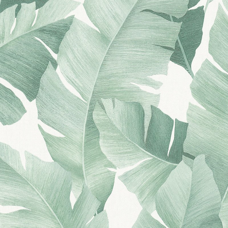 Papel pintado hojas de platanera verde – Hojaraska 31650