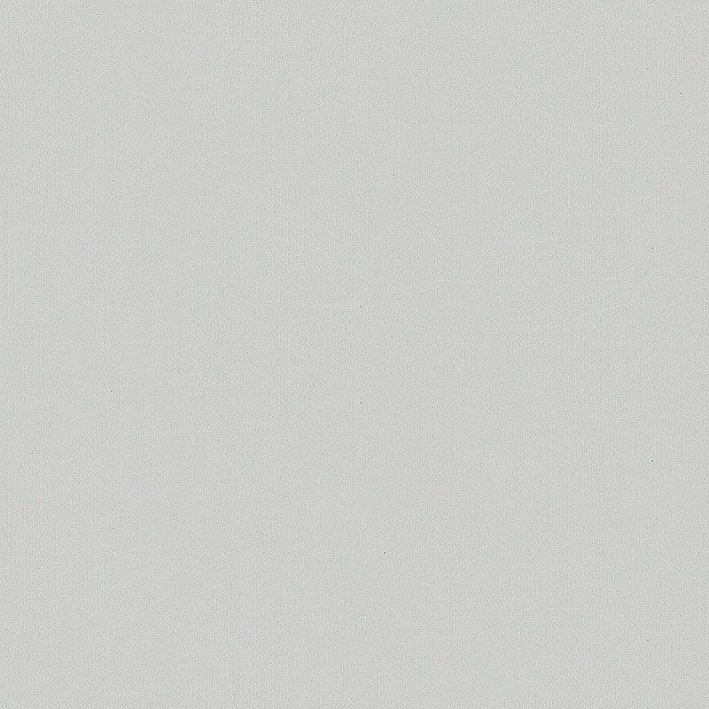 Papel pintado liso gris claro – Silence 36478